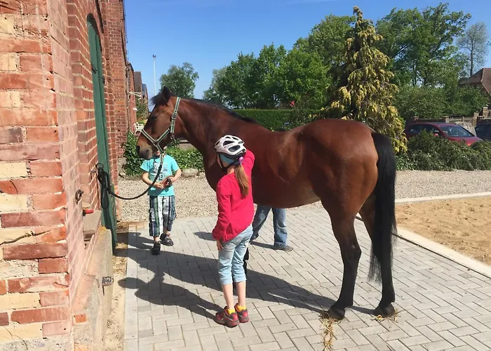 Appartement Gaensebluemchen